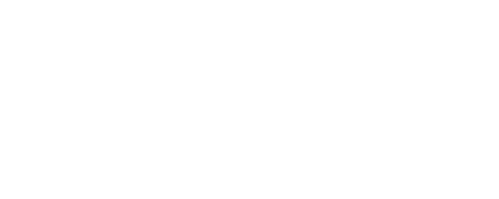 havaianas
